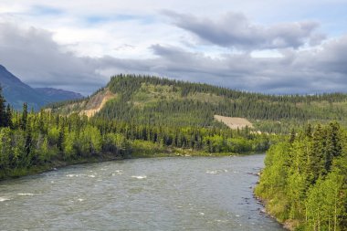 Alaska 'da Denali Milli Parkı 'nda Nenana Nehri 'nin güzel manzarası.