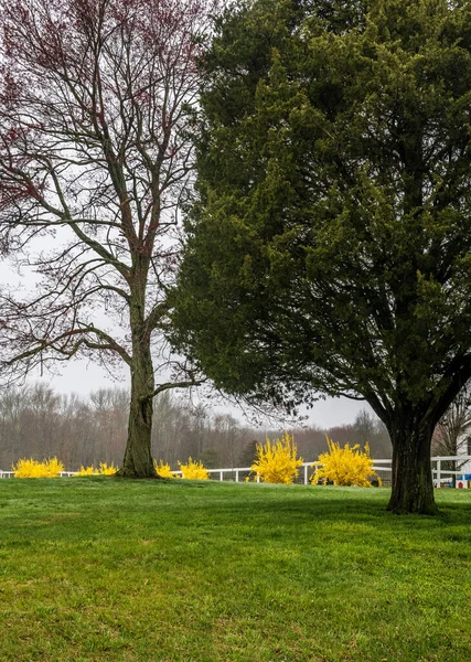 Orta New Jersey Kırsalında Güzel Bir Bahçe — Stok fotoğraf