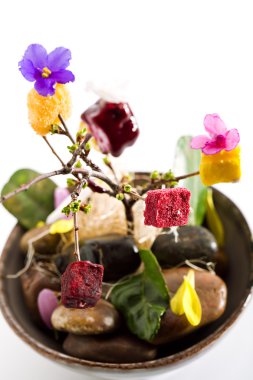 Çeşitli yumuşak ve taze peynir Fransız