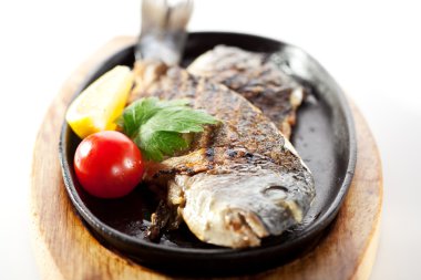 tavada yaldızlı baş çipura 