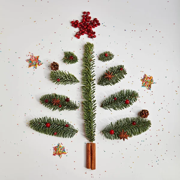 Árvore de Natal feita de folhagem de inverno e paus de canela — Fotografia de Stock