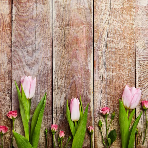 Kreativ blomsterbakgrunn – stockfoto