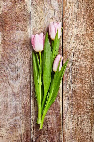 Yaratıcı çiçek arka plan — Stok fotoğraf