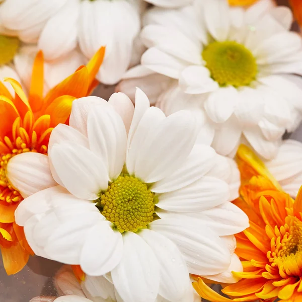 Białe i pomarańczowe kwiaty wzór — Zdjęcie stockowe