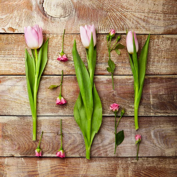 Kreativ blomsterbakgrunn – stockfoto