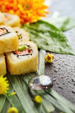 Tempura Maki Sushi Roll