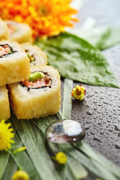 Tempura Maki Sushi Roll — Stok fotoğraf