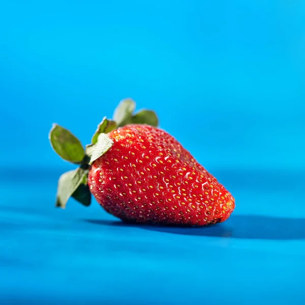 Fresa sobre fondo azul — Foto de Stock