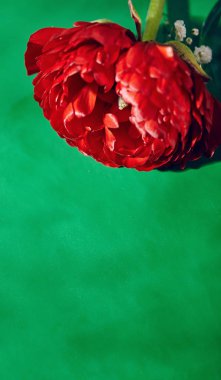 Yeşil zemin üzerine kırmızı Düğünçiçeği