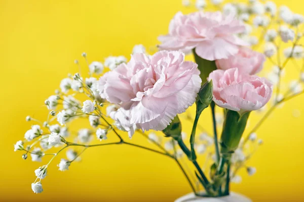 Pequeño ramo de claveles rosados Flor —  Fotos de Stock