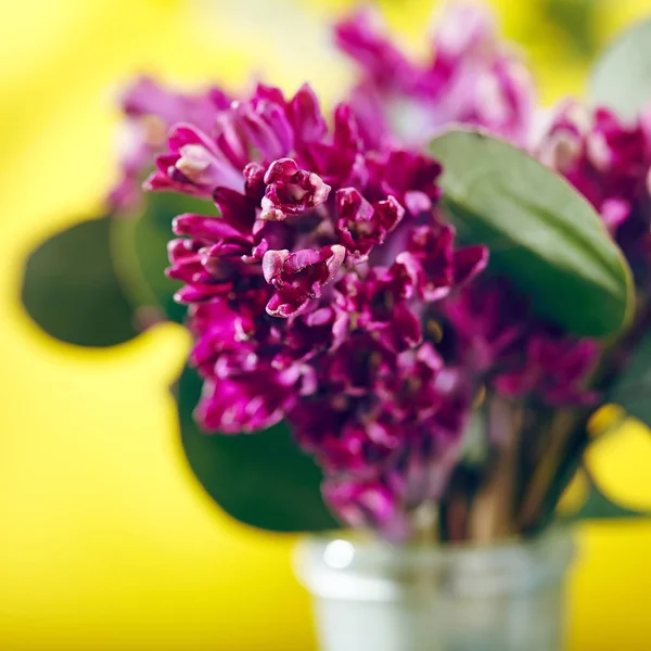 Pequeño ramo de flores —  Fotos de Stock