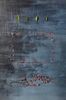 Japon yemekleri tarzında kavramsal çerçeve