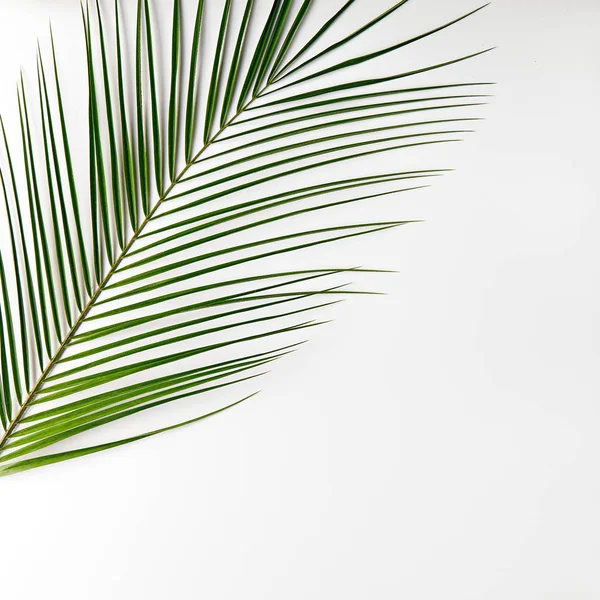 Doğa en az kavramı