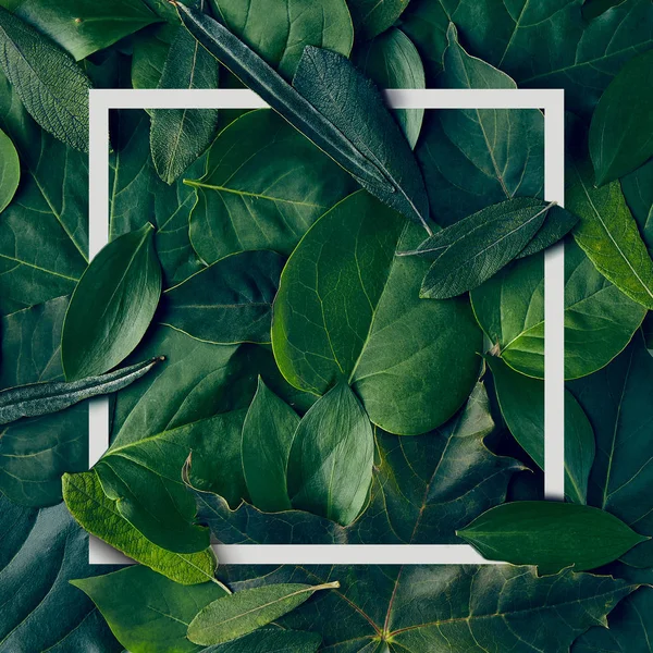 Doğa en az kavramı