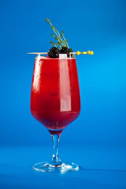 Tatil için Berry kokteyller