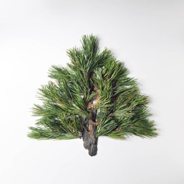 Noel ağacı çam dalları yapılan