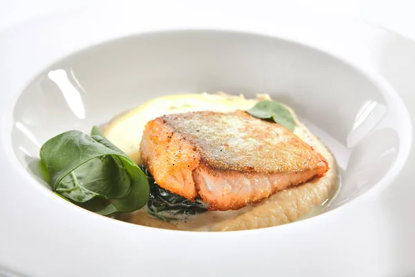 Filetto di salmone con spinaci arrosto e mousse di radice di sedano al forno — Foto Stock