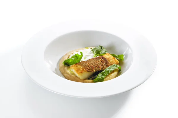 Breaded Fried Halibut Fillet with Parsnip Puree Isolated — ストック写真