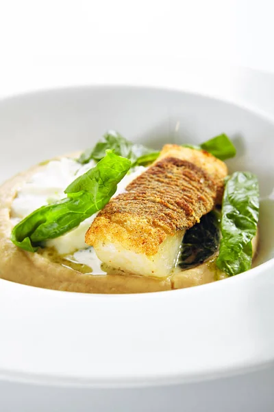 Breaded Fried Halibut Fillet with Parsnip Puree Isolated — стокове фото