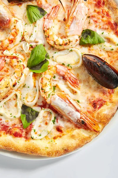 Итальянская морская пицца с кальмарами, мидиями и креветками — стоковое фото