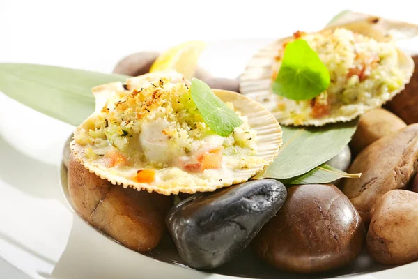 Pieczony Scallop w Scallops Shell z przyprawami izolowane — Zdjęcie stockowe