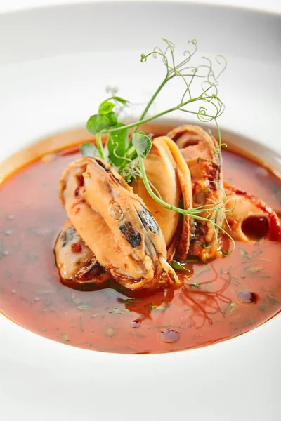 传统的法式海鲜汤 美味的麝香肉汤在盘子里 带有香味香料和绿叶的普罗旺斯鱼炖肉 用白盘调好的菜 好吃的菜 — 图库照片