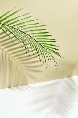 Sarı duvardaki ve beyaz zemindeki gölge palmiye yapraklarının soyut arkaplanı. Yaratıcı yaz modellemesi. Modern gölge avuç, her amaç için harika bir tasarım. Güneşli sarı arkaplan.