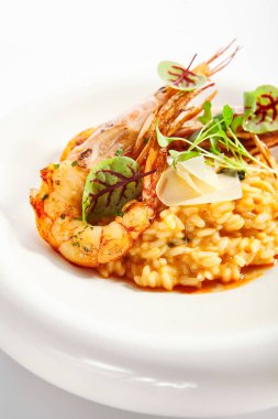 Arjantin karidesli risotto Tom yer elması. Deniz mahsulleri manzaralı leziz Tayland yemekleri. Geleneksel Asya yemeği, pirinç ve aromatik yeşillik. Beyaz tabakta yemek kompozisyonu. Restoran lezzeti.