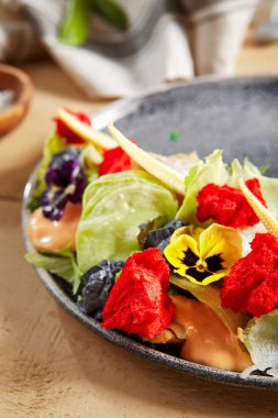 Tütsülenmiş morina, trüf peyniri ve gri tabakta kırmızı sünger salatası. Taze atıştırmalık yakın çekim. Bezelye, yeşillik ve menekşe çiçeği süslemeleri. Balık lokantası menüsü, gurme aperatifler.