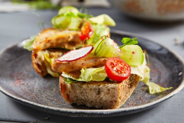 Fındık soslu hindi ve gri tabak. Et aperatifleri kapatılıyor. Geleneksel İtalyan yemeği, antipasti aperatifi, baharatlı sıcak çıtır ekmek. Avrupa mutfağı, servis edilen restoran menüsü