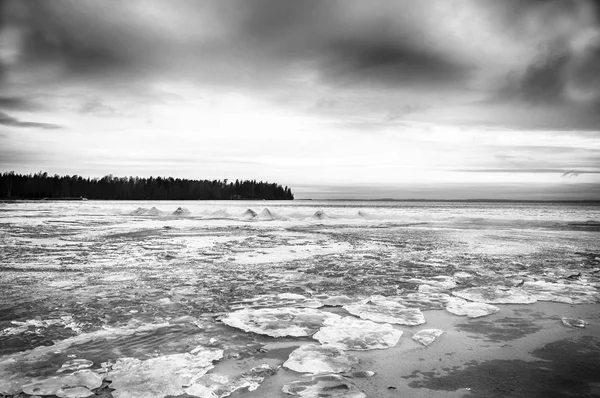 Монохромный зимний пляж — стоковое фото