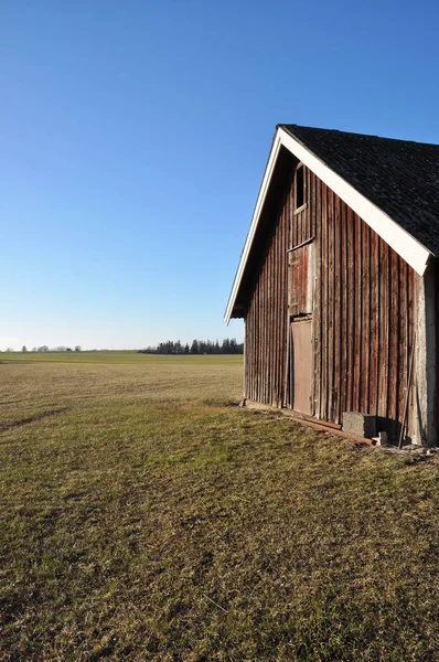 Old barn in spring — Stock Photo, Image