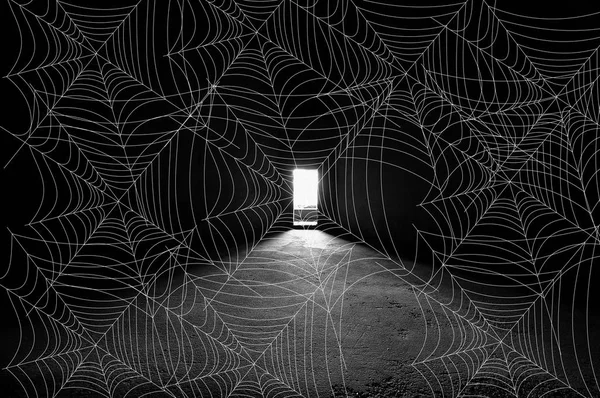 Padrão de teia de aranha — Fotografia de Stock