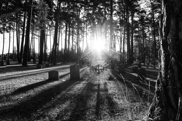 Graveyard with spider web — Stock Photo, Image