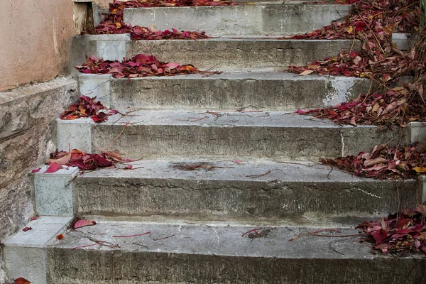 Bunte Herbstblätter. — Stockfoto