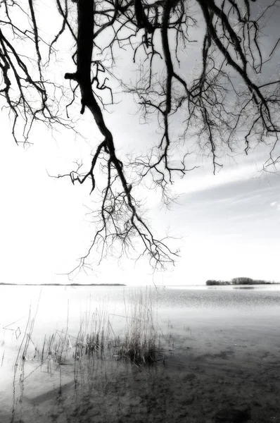 Suavidade monocromática junto ao lago — Fotografia de Stock