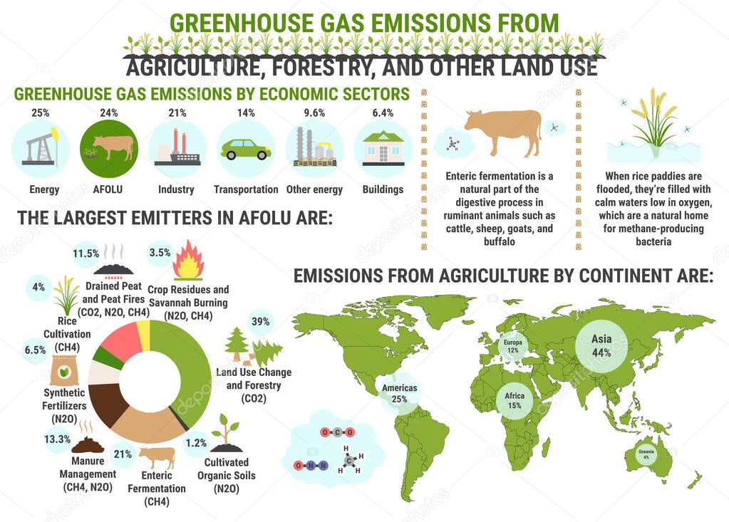 Infographic of global greenhouse gas emissions by agriculture, f