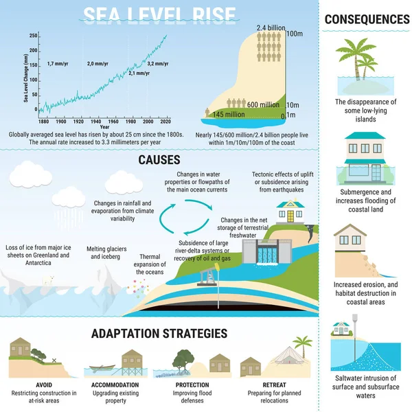 Causes, risques et stratégies d'adaptation à l'élévation du niveau de la mer — Image vectorielle