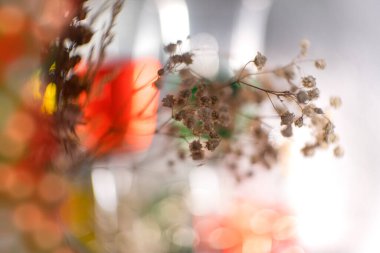 Çiçekler ve güzel arka plan