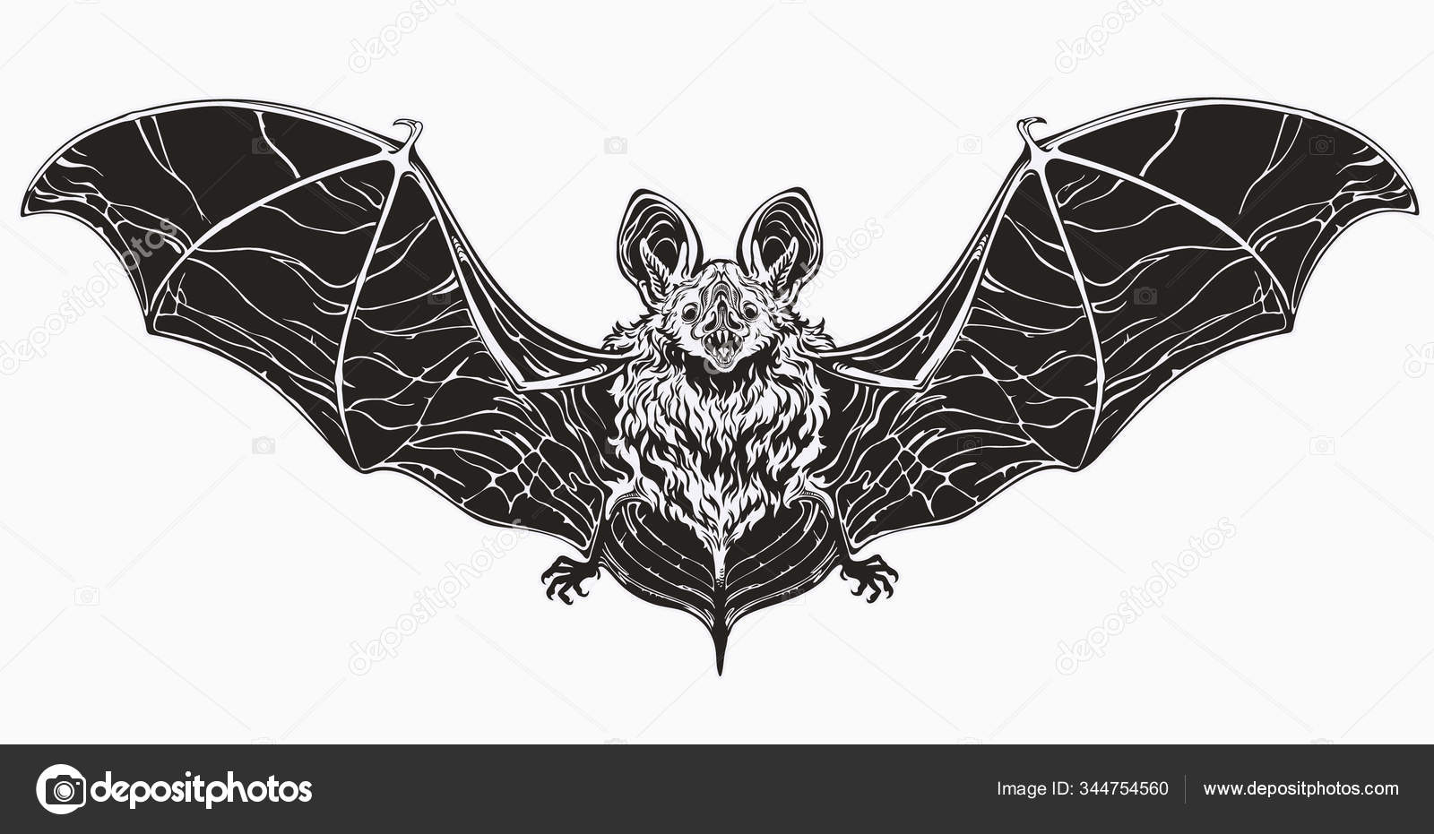 Bat's head realistic hand drawn Halloween, vampire illustration. Scary  desmodus with open mouth and bared fangs. Ink drawing with blot. Grinning  muzzle with grunge splash. Tattoo design. Stock Vector | Adobe Stock