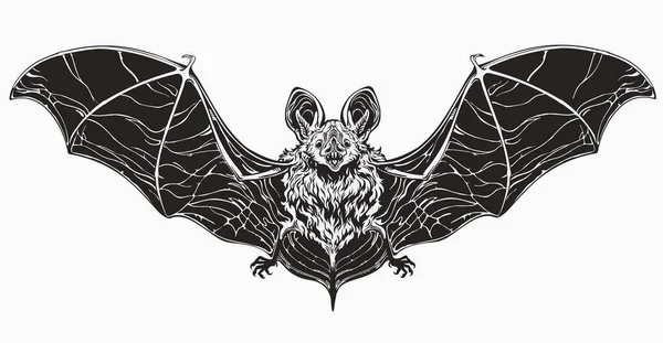Morcego monocromático realista. Espalhe asas e rosto bonito —  Vetores de Stock