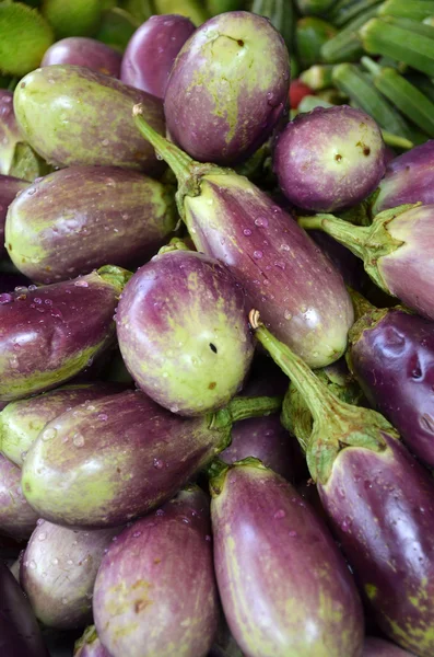 Raw ripe Eggplant — Stock Photo, Image