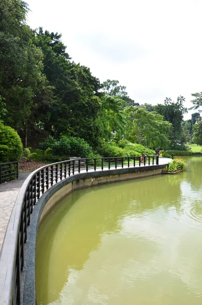 Sjö i Singapore Botanic Garden — Stockfoto