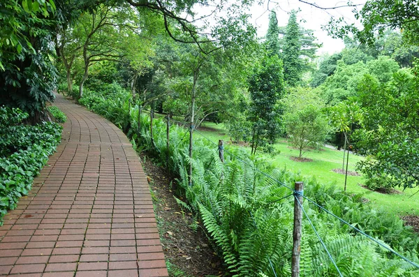 Rött tegel sökvägen i Singapore Botanic Garden — Stockfoto