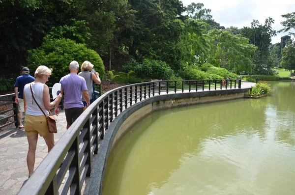 シンガポール植物園の湖 — ストック写真