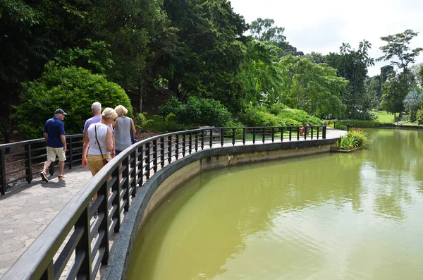 Singapur Botanik Bahçesi gölde — Stok fotoğraf