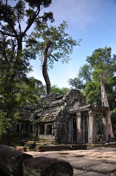 Świątynia Ta Prohm, Angkor, Kambodża — Zdjęcie stockowe