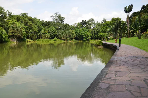 新加坡植物园湖 — 图库照片