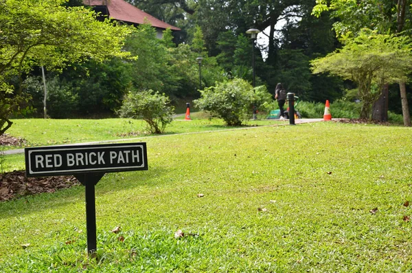 Singapore botanischer Garten mit rotem Ziegelweg — Stockfoto