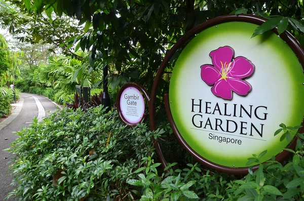 シンガポール植物園で癒しの庭園 — ストック写真
